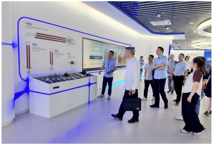 2025年5月 拓市场·促内销-浙江省电气行业协会专家组调研谈球吧电气集团